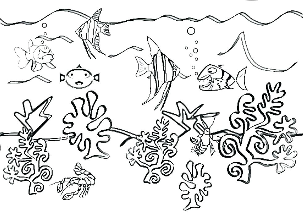 981x712 Sea Anemone Coloring Page Joandco.co
