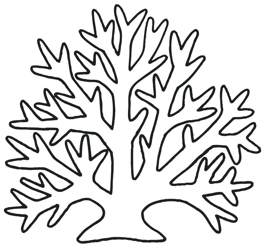 863x805 Coral Coloring Page