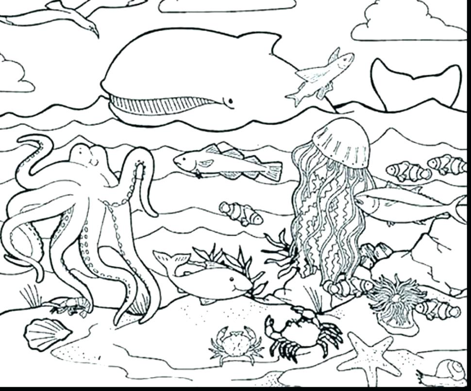 970x806 Ocean Coloring Pages Scene Printable 1table Co