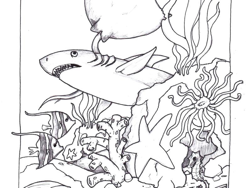 785x600 Ocean Scene Coloring Page Like This Item Underwater Ocean Scene
