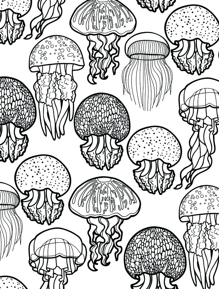 736x971 Ocean Scene Coloring Page Ocean Coloring Pages Ocean Scene