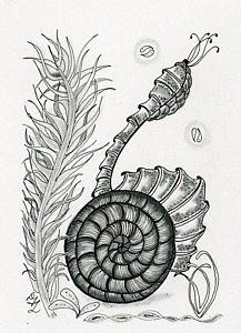 217x300 Ocean Scene Drawings