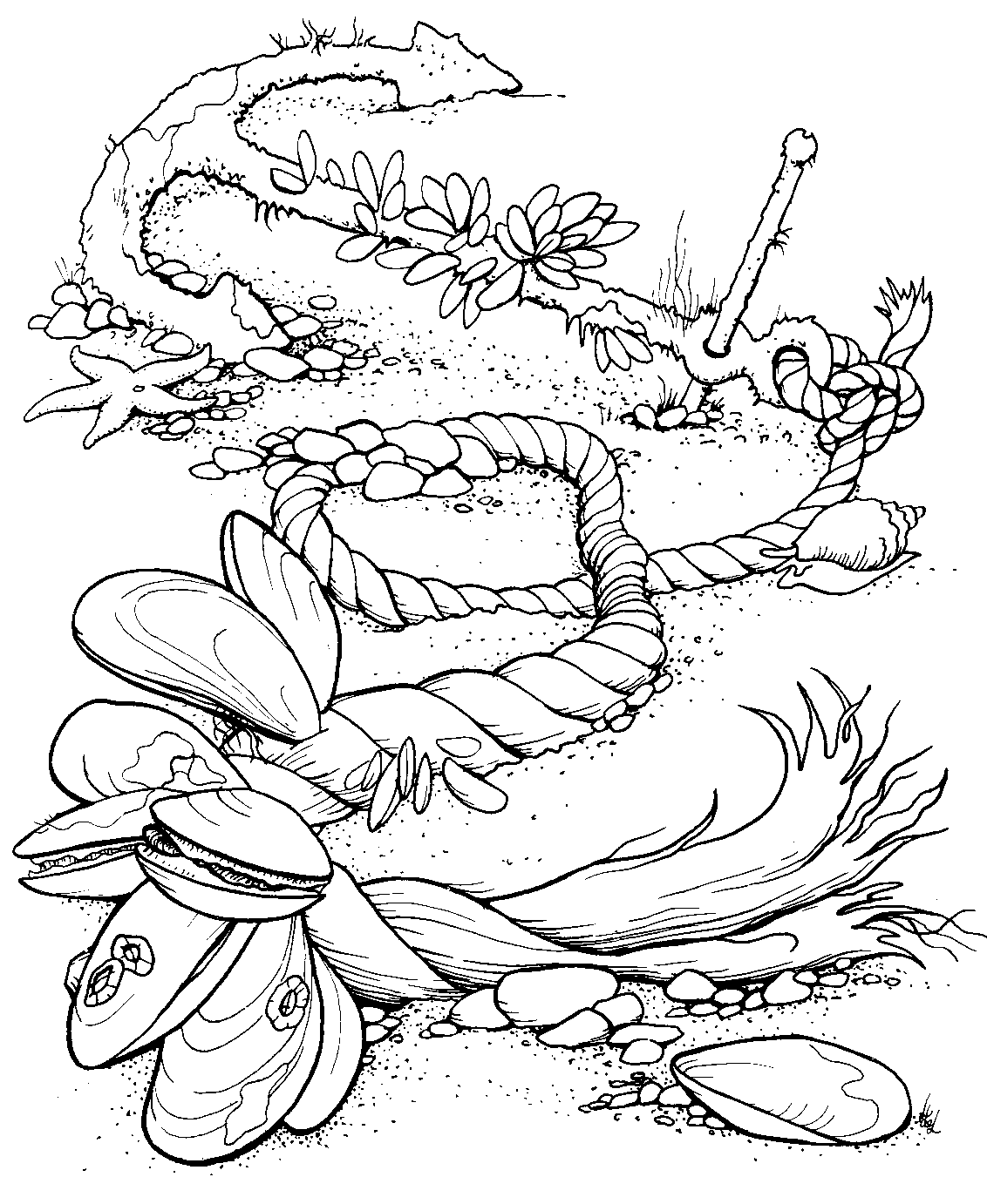 1132x1382 Free Ocean Coloring Pages Image 9 Coloring Pages Amp Crafts