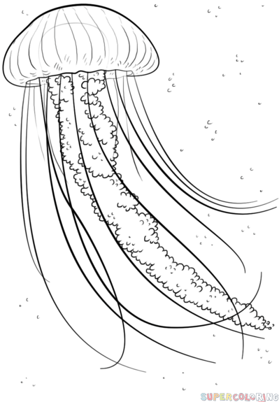 399x575 Drawn Ocean Line Drawing