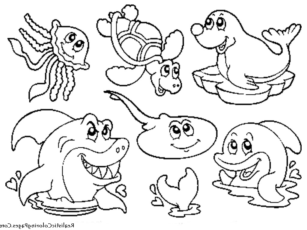 1024x768 How To Draw Ocean Animals Draw Ocean Animals