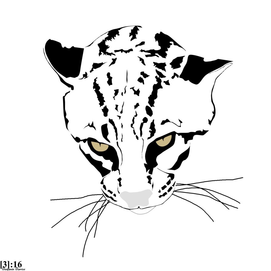 894x894 Ocelot By Benja316