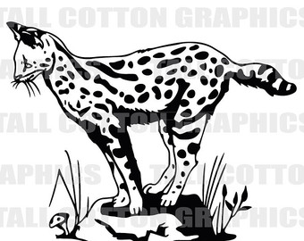 340x270 Ocelot Cat Etsy