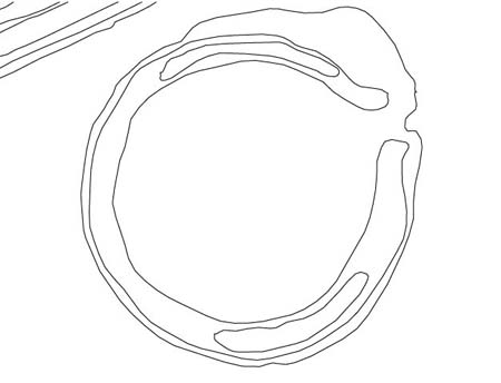 450x344 The Octagon 2