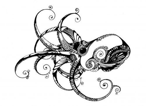 500x363 97 Best Octopus Images On Octopus, Octopuses