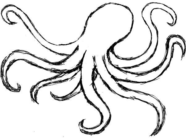 602x452 Octopus Drawing