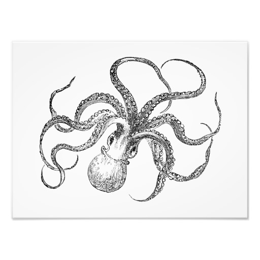 512x512 Vintage Giant Octopus Drawing