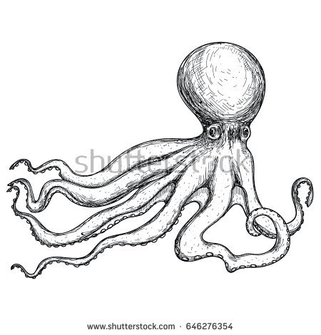 450x470 Drawn Octopus