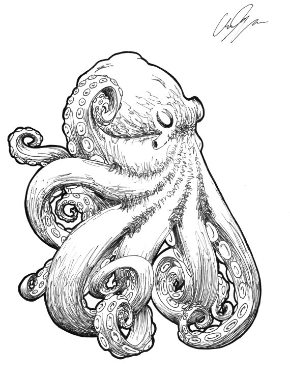 570x739 Octopus
