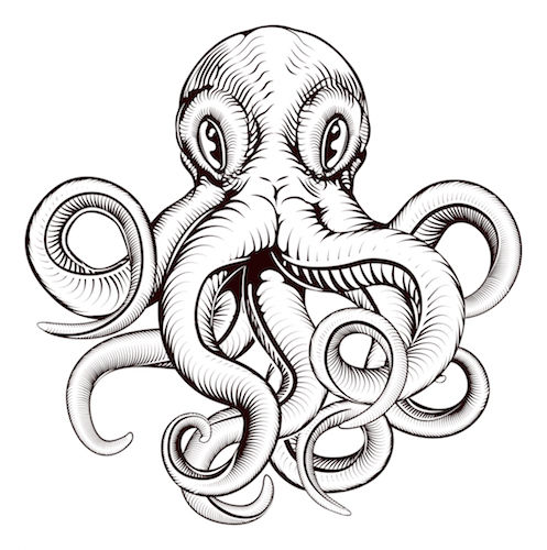 497x500 Octopus Tattoo Meaning