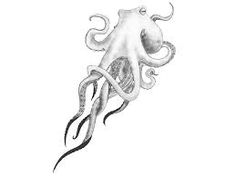 236x176 Sea Anchor And Octopus Tattoos Tattoos Octopus