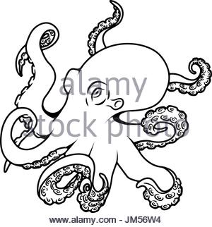 300x322 Sea Monster, Octopus, Tattoo Sketch Illustration Stock Photo