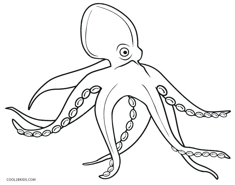 750x591 Octopus Color Page Copyright Dawn Cartoon Octopus Coloring Pages