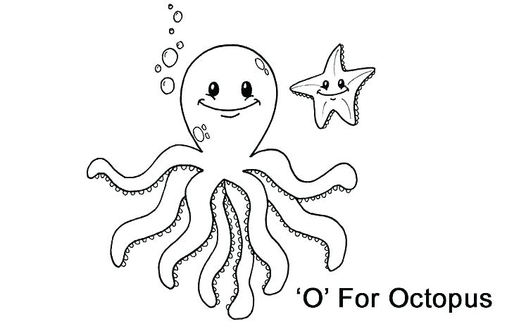 720x460 Octopus Color Page Octopus Color Page Octopus Coloring Pages Photo