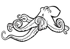 236x167 Drawn Octopus Simple