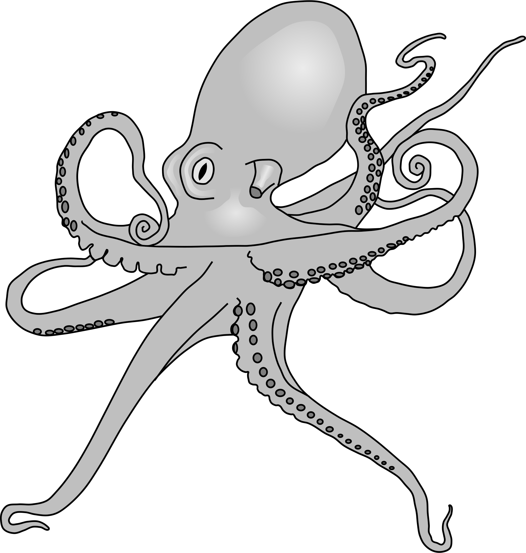 2000x2105 Fileoctopus Drawing.svg