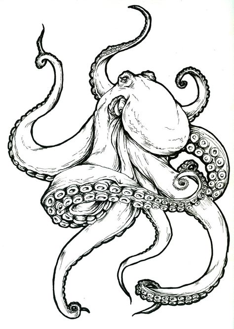474x665 Octopus Upcoming Tattoos Side Tattoos, Tattoo And Draw