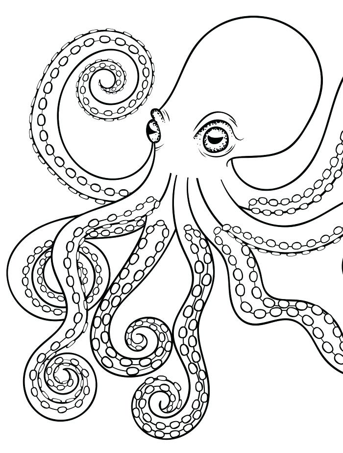 700x924 Octopus Color Page Kids Drawing Of An Octopus Coloring Page Letter