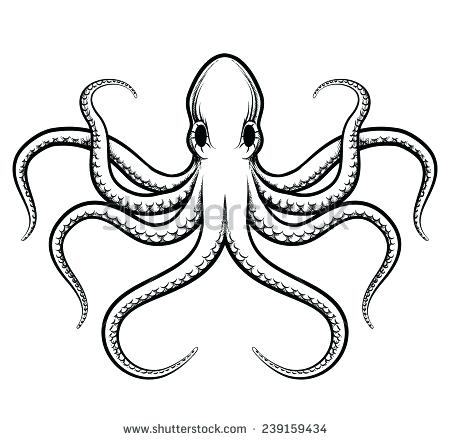 450x440 How To Draw Octopus Draw An Octopus Steps 8 And 9 Octopus