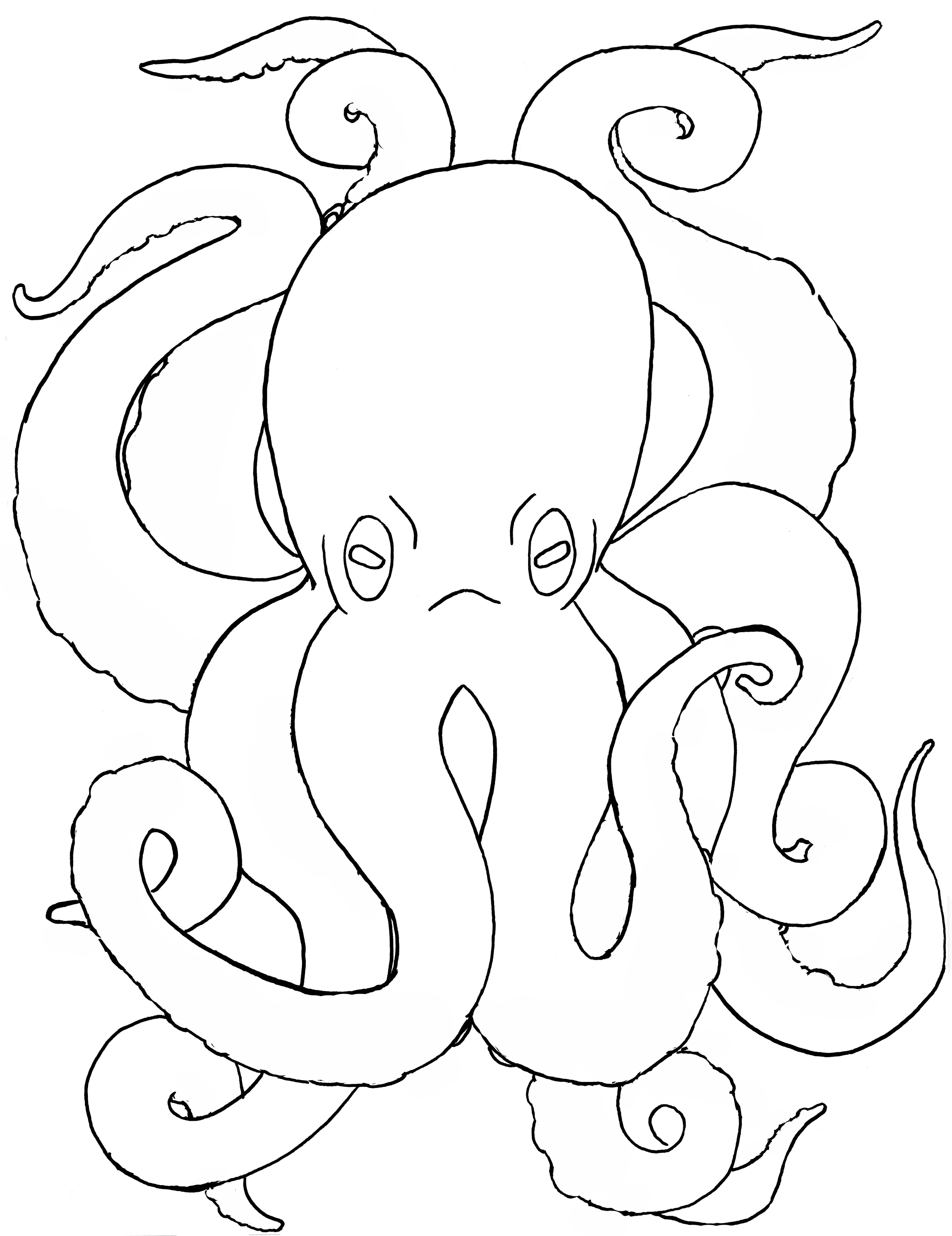 2695x3500 Cephalopodia Corvus Tristis Science, Craft And An Odd Bird