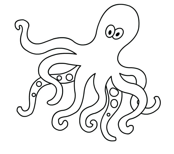 Octopus Drawing For Kids at GetDrawings | Free download