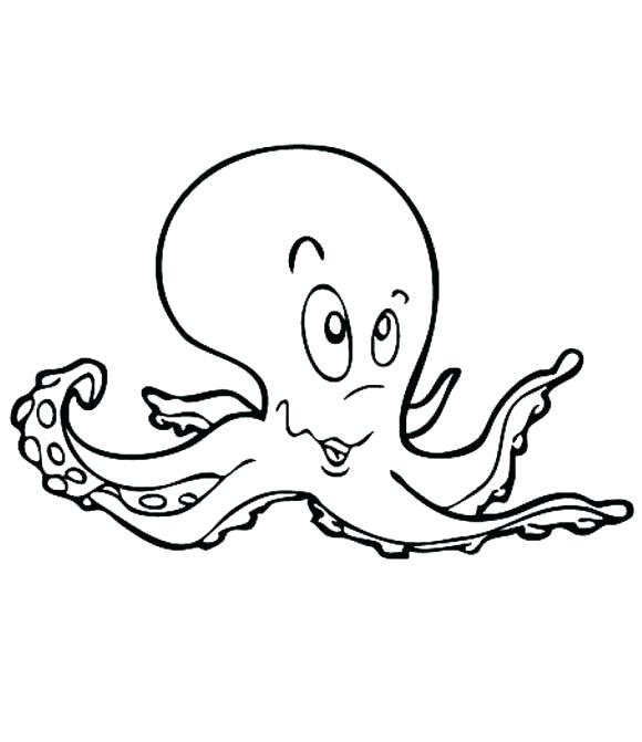Octopus Drawing For Kids at GetDrawings | Free download