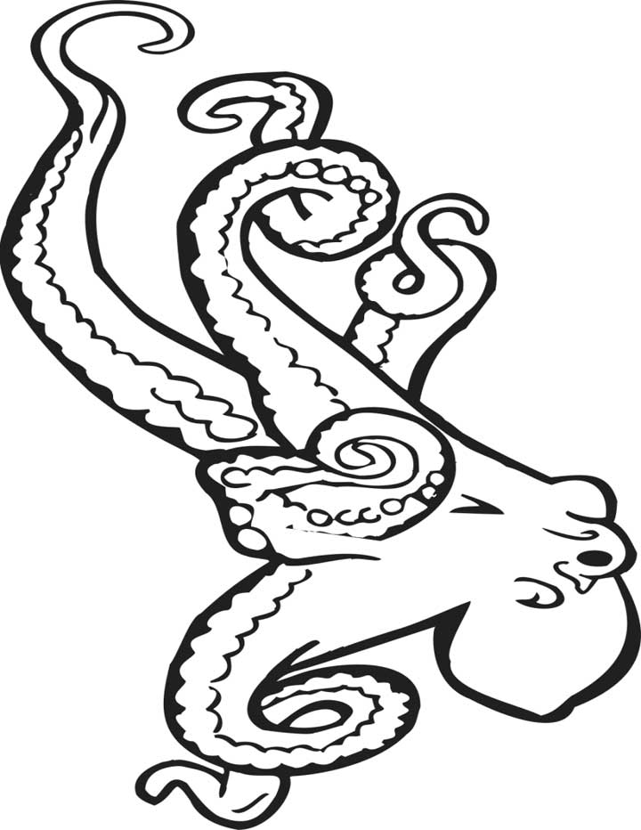 720x932 Octopus Coloring Page For Kids