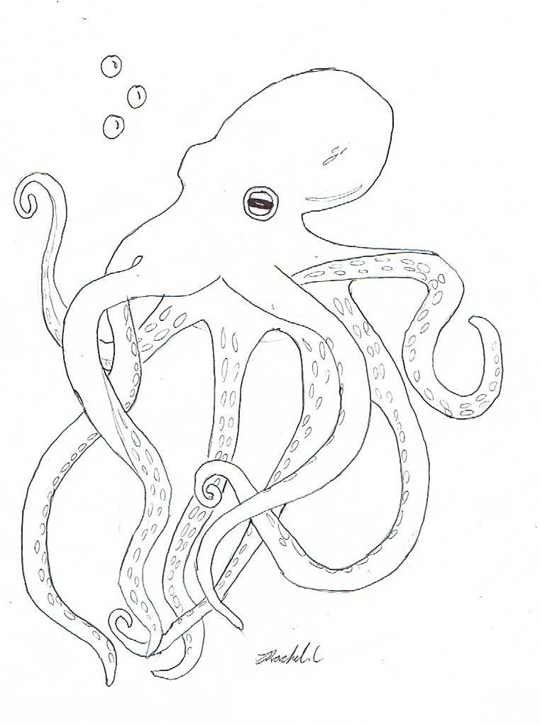 761x1021 Free Printable Octopus Coloring Pages For Kids Embroidery Amp Felt