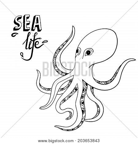 450x470 Hand Drawn Octopus. Sketch Wild Vector Amp Photo Bigstock