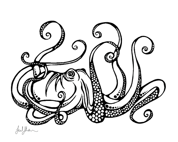 600x480 Octopus Drawing By Lael Johnson