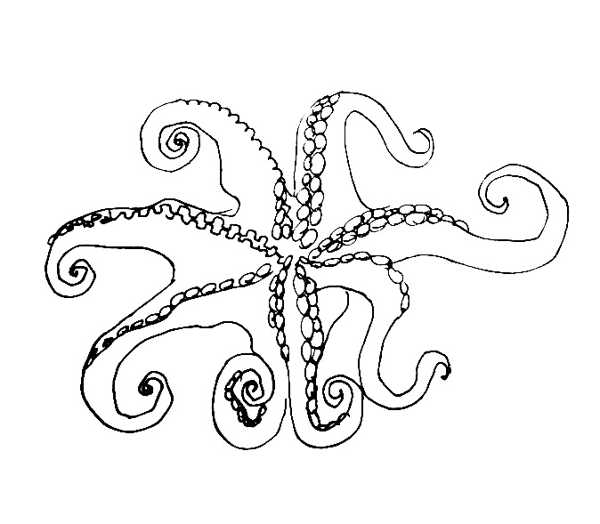 600x524 Octopus Coloring Pages