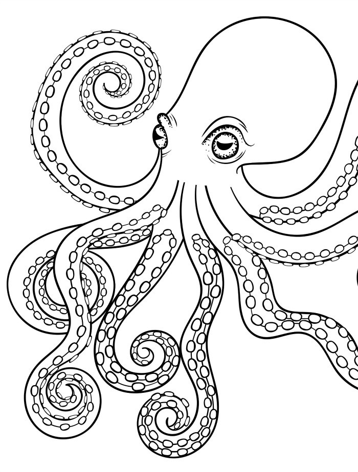 700x924 Simple Octopus Sketch