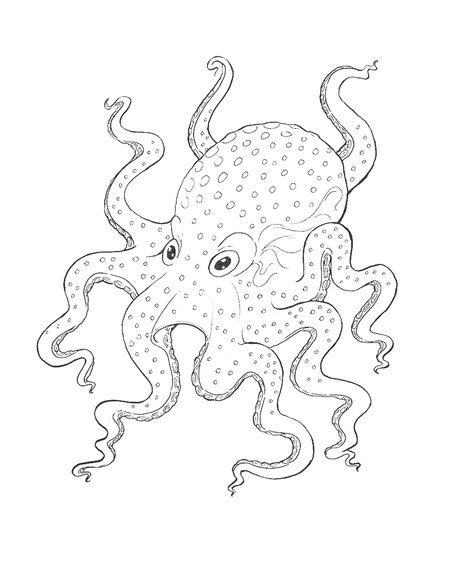 900x1126 Ink Tutorial Drawing The Octopus Eugenia Hauss