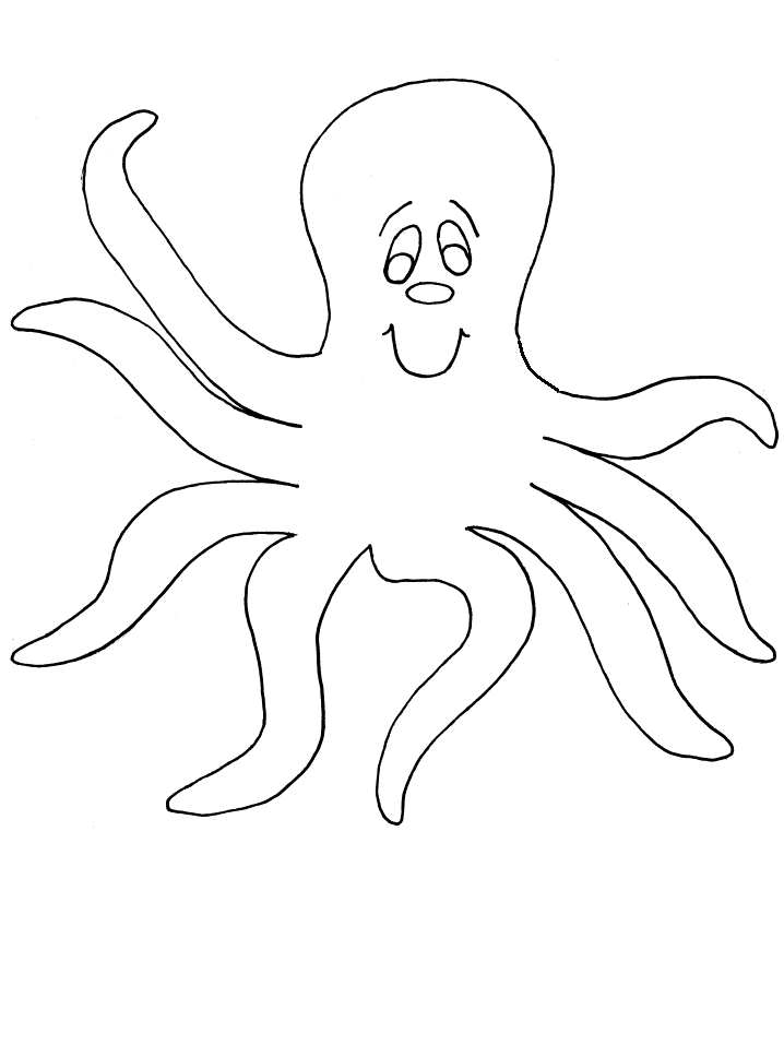 718x957 Octopus