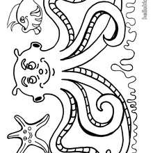 220x220 Octopus Coloring Pages, Drawing For Kids, Kids Crafts