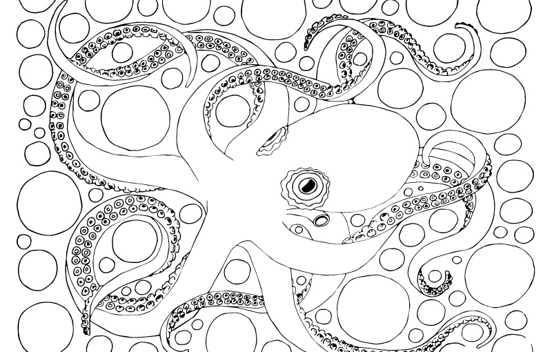 800x510 Draw To Learn Octopus Information And Coloring Page Steam Register
