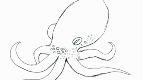 570x320 Octopus Drawing For Kids How To Draw An Octopus