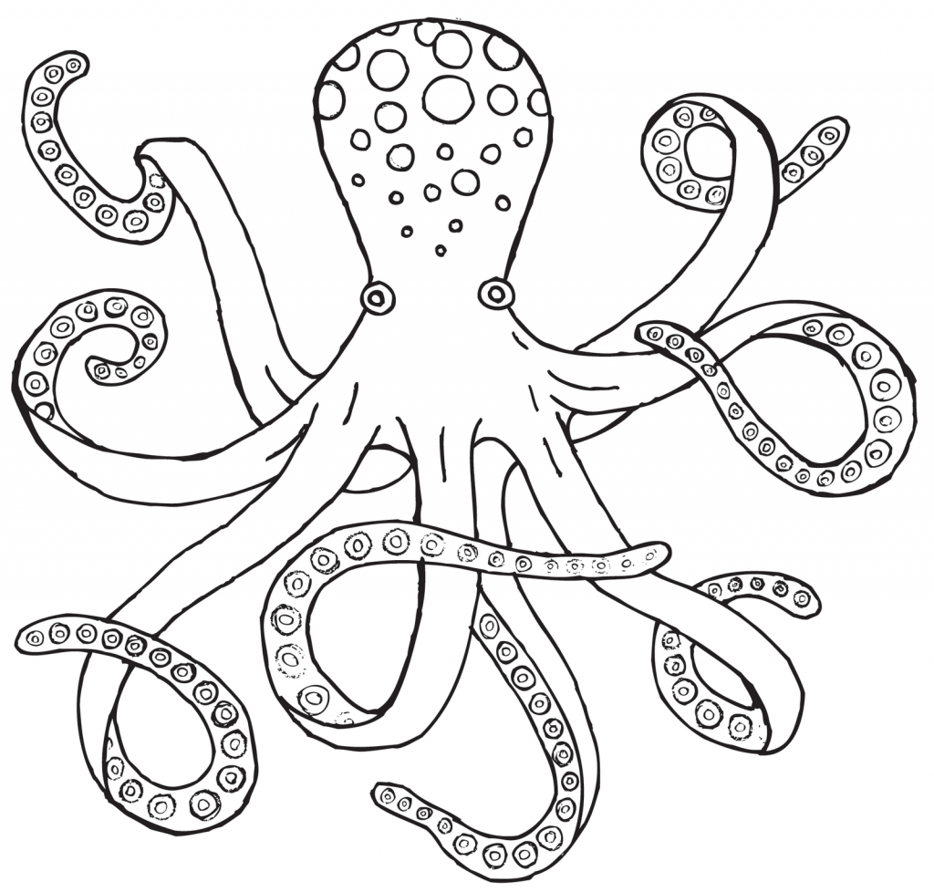 Octopus Drawing Step By Step at GetDrawings | Free download