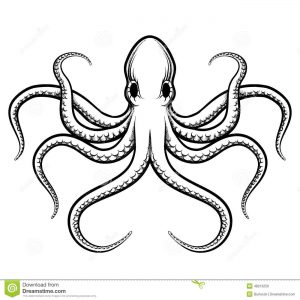 300x300 Adult Octopus Drawing Octopus Drawing Tumblr. Octopus Drawing