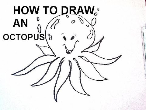 480x360 Drawing How To Draw An Octopus. Art Lessons For Kids