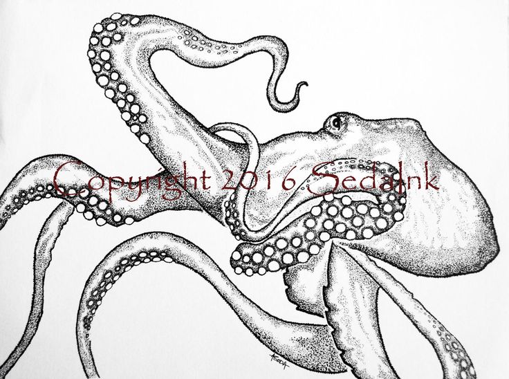 736x548 29 Best Briny Deep Portrayals Images On Octopuses