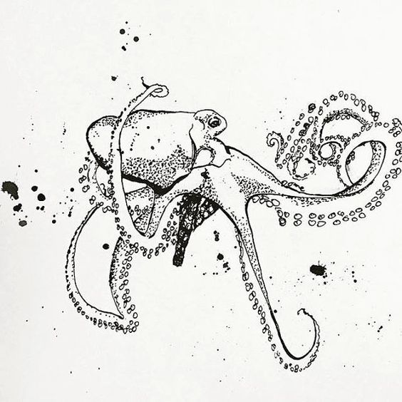 564x564 Octopus From Secrets Of Dripping Fang Illustrated By Scott M