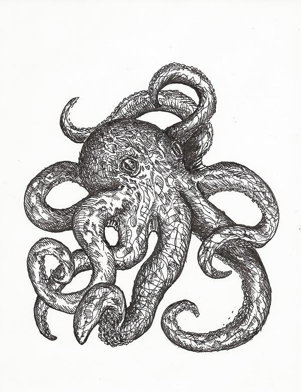 600x780 Original Ink Drawing, Great Octopus Portrait, Via Etsy. Artsy