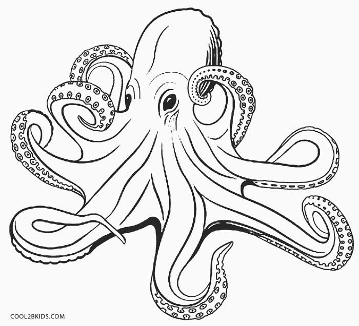 700x636 Printable Octopus Coloring Page For Kids Cool2bkids