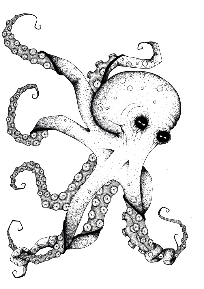 707x1000 Suckers!' By Katie Burns. A4 Ink Drawing Using Micron Fineliners