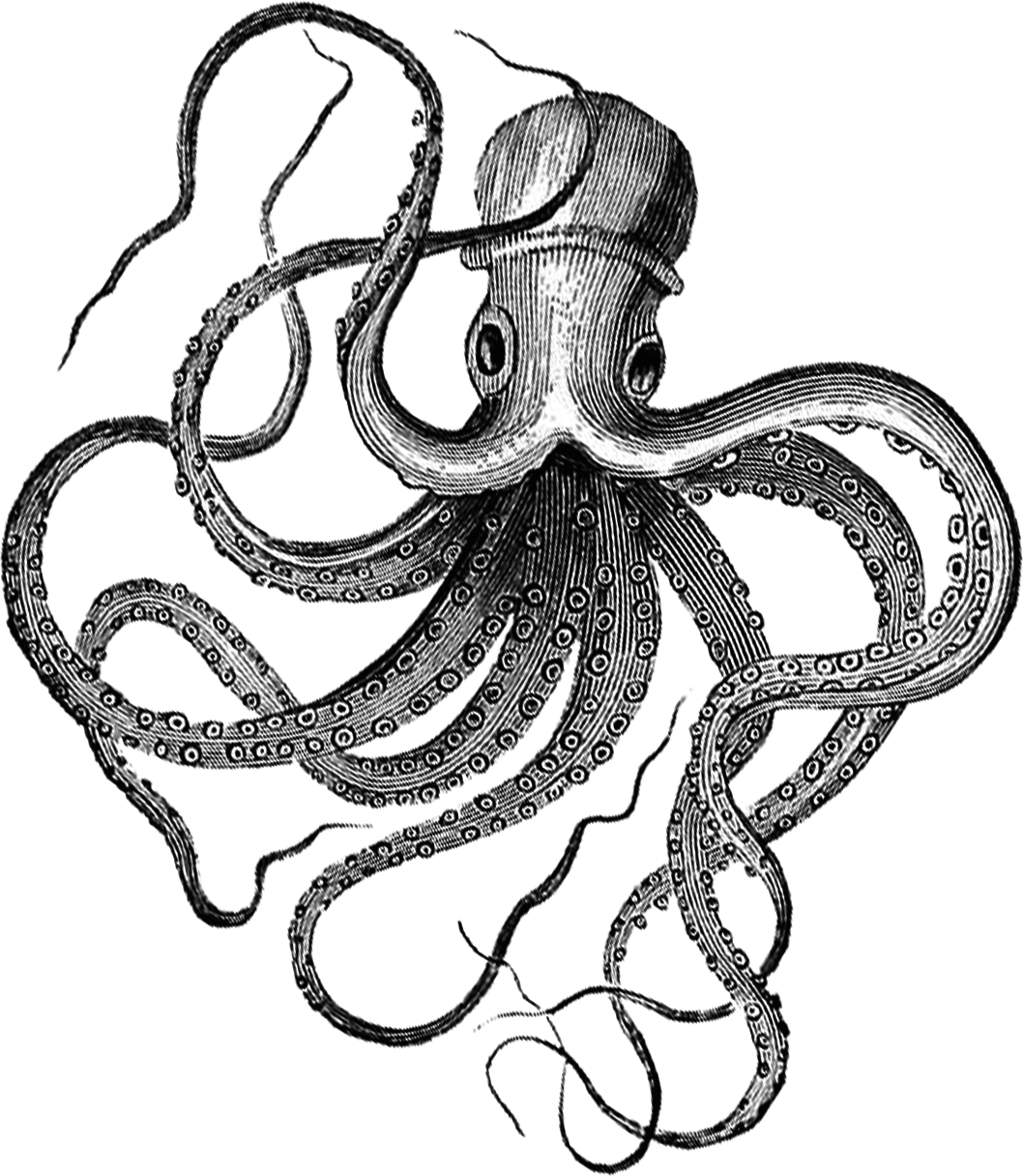 1058x1216 Octopus Ink Slinger Editorial Services